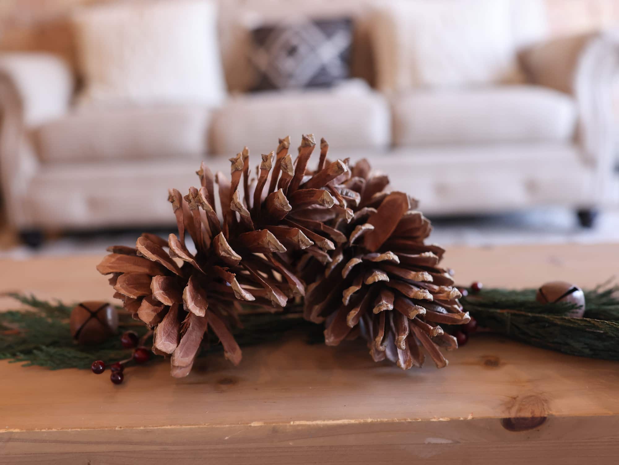 Natural Long Leaf Pinecones, 2ct. by Ashland®
